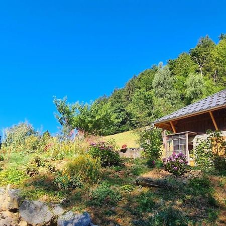 Chambre D'Hotes L'Aire Du Temps Savoyard 우진 외부 사진